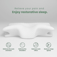 SnuzTech Butterfly Relief Pillow